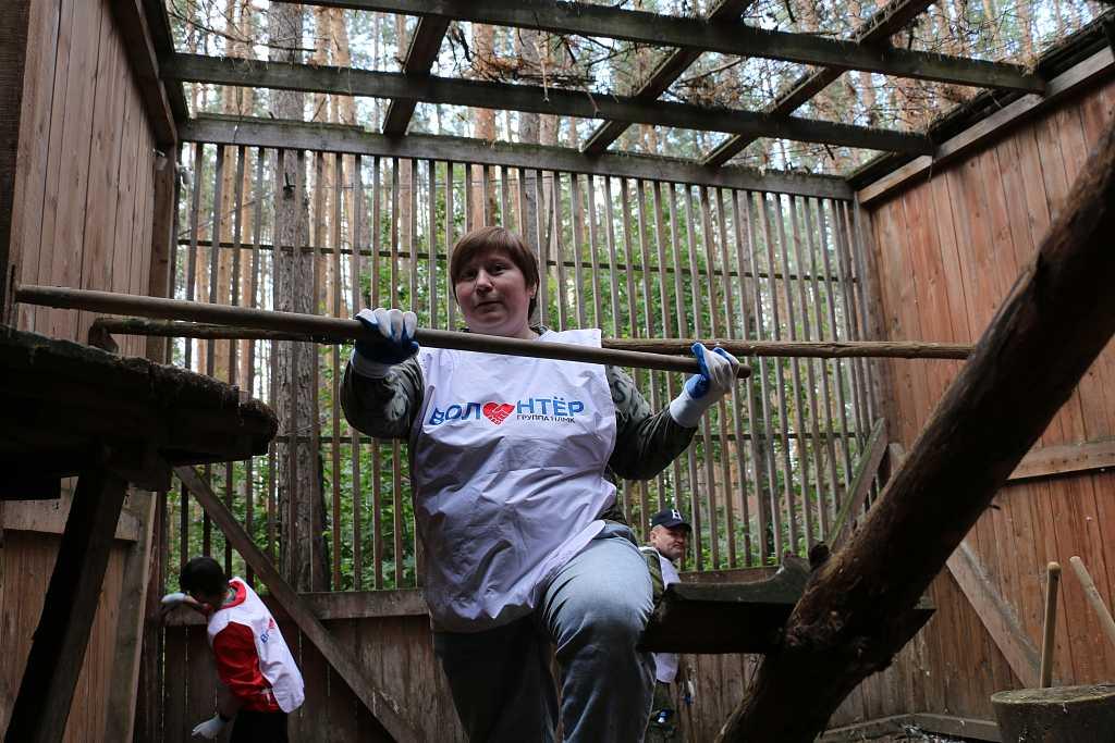 Волонтеры ВИЗ-Стали провели экологический субботник в центре реабилитации краснокнижных птиц